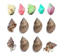 8PCS Hermit Crab Shells Hermit Crab Accessories Turbo Shells for Small Medium and Large Crabs Turbo Seashells Natural Sea Conch
