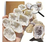 8pcs Natural Quartz Caves Knock Open in The Middle 1.2-2 inch White geode Set with Magnifying Glass and Display Stand Ideal for School Gifts and Prizes（Morocco White geode 8pcs Set）