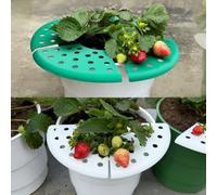 8PCS Strawberry Holder Vertical Plant Support Plastic Trellis Space-Saving Structure Improved Airflow Tool-Free Assembly Circular Bracket Fits Raised(B)