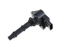 8X Auto Parts Ignition Coil 2729060060 A2729060060 Compatible For Benz M272 M272 W211 W221 W164