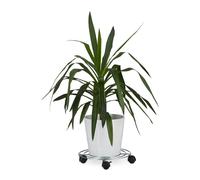 8x Plant roller Flower Stand Mobile Planter Round Pot Holder 30 kg 4 Wheels