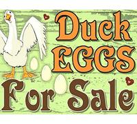 8X12 Inch Duck Eggs for Sale Here is The Farm Plate Metal Sign