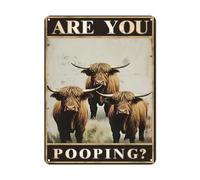 8x12 Inch Highland Cow "Are You Pooping?" Funny Tin Signs,Bathroom Wall Decor