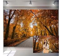 8x6ft Fall Forest Backdrop Autumn Natural Landscape Background for Photography Orange Yellow Maple Tree Leaf Backdrops Fall Forest Scenery Background Outdoor Camping Hiking Theme Adults Photo Props