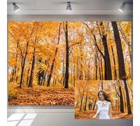8x6ft Fall Forest Scenery Backdrop Autumn Natural Landscape Photography Background Orange Yellow Maple Tree Leaves Backdrops Fall Forest Background Outdoor Camping Hiking Theme Adults Photo Props