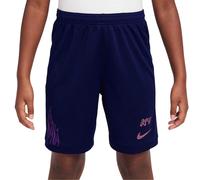 (9-10 Years, Blue/Gold) Nike Childrens/Kids Graphic Print Shorts