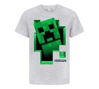 (9-10 Years, Grey) Minecraft Boys Creeper Inside T-Shirt