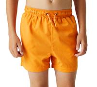 (9-10 Yrs, Persimmon) Regatta Kids Boys Skander III Elasticated Swim Swimming Shorts