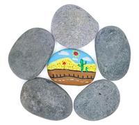 9-12cm 6 Pcs Large Flat Pebbles Stones Rocks for Painting, Natural River Stones DIY Hand-Painted Pebbles Marble Gravel for Garden, Crafts and Arts
