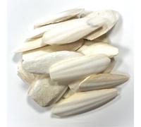 9-15cm Premium Quality Cuttlefish Bone (Pack of 1) Suitable for Cage B