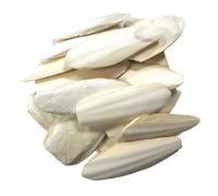 9-15cm Premium Quality Cuttlefish Bone (Pack of 1) Suitable for Cage Birds, Reptiles etc.