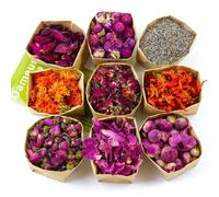 9/16/30pcs Dried Flower Set - Dried Plants,Forget-me-not, Jasmine,Lavender,Chrysanthemum,Roses,Witchcraft Kit,Home decor,DIY Candle Making,Picture Frame Making,Jewelry Making (9 Bags Set/7g/Bag)