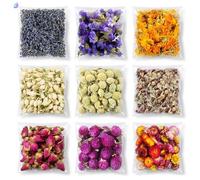 9 Bag Set Dried Flowers & Herbs for Crafts, Includes Lavender, Rose, Jasmine, Marigold, Forget-me-not, Gomphrena Globosa, Strawflower, Scindapsus Aureus, Apple Flower - 10g Each for Bath Bombs, Scente