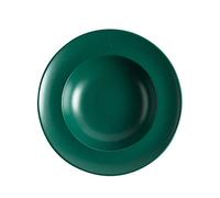 9 Inch Pasta Bowls Plates, Ceramic Rim Soup Bowls, Suitable for Salad, Pasta, Soup, Gourmet, Restaurant,Green