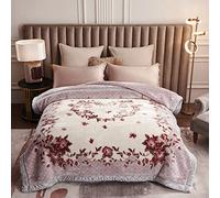 9 Lbs Heavy Mink Blanket King Size 79"X91" And 2 Ply Reversible Korean Style Plush Soft Blankets for Winter,Super Warm Raschel Velvet Bed Blanket,G,200x230cm