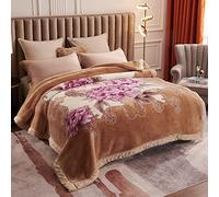 9 Lbs Heavy Mink Blanket King Size 79"X91" And 2 Ply Reversible Korean Style Plush Soft Blankets for Winter,Super Warm Raschel Velvet Bed Blanket,G,200x230cm