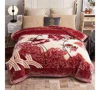 9 Lbs Heavy Mink Blanket King Size 79"X91" And 2 Ply Reversible Korean Style Plush Soft Blankets for Winter,Super Warm Raschel Velvet Bed Blanket,G,200x230cm