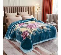 9 Lbs Heavy Mink Blanket King Size 79"X91" And 2 Ply Reversible Korean Style Plush Soft Blankets for Winter,Super Warm Raschel Velvet Bed Blanket,G,200x230cm