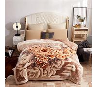 9 Lbs Heavy Mink Blanket King Size 79"X91" And 2 Ply Reversible Korean Style Plush Soft Blankets for Winter,Super Warm Raschel Velvet Bed Blanket,G,200x230cm