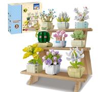 9 Pake Succulent Building Block Set - 854PCS Golden Teprana, Echeveria, Moonstone Bricks Kit, Decorative Pots, Botanical Collection, Home Decor, Creative Gift for Adult, Kid (with wooden frame)