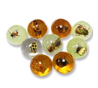 9 pcs Insect Amber Fossils, BOSOIRSOU Fossil Pendants, Different Insect Specimen, Bug Preserved in Resin, Educational and Scientific Amber Collections - Random Patterns