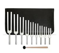 9-Piece Solfeggio Tuning Fork Set with Silicone Hammer & Carrying Bag - DNA Repair & Sound Therapy Healing Tools for Balance & Wellness- Silver