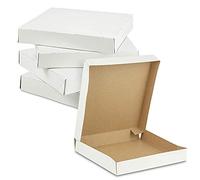 9" Plain WHITE Postal Takeaway Corrugated Cardboard Pizza Boxes (10 Boxes)