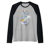 9 Types of Hammerhead Sharks of Colorful Ocean 14th of July Raglan Baseball Tee