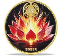 9 Year Flame Lotus Sobriety Coin - Radiant Bloom NA Medallion - Spiritual Token for Recovery & Clean Time - Empowering NA AA Chips - Gift for Men & Women