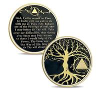 9 Year Sobriety Chip Tree of Life Sobriety Coin AA Coins and Medallions Sobriety Gifts for Men Women Sobriety Achievement Affirmation Token