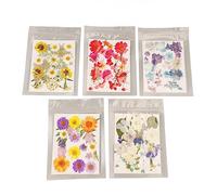 90-100 Pcs Dried Pressed Flowers, Real Dried Pressed Flowers, Colorful Bulk Herbs Kit, for Candle, Soap Making, Nails Décor (Type 1)