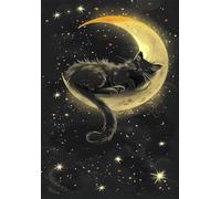 900 Piece Jigsaw Puzzles for Adults - Cat Moon - Eco Matte Anti-Glare Print, Precision Fit Interlocking Pieces with Letter Zone Backing 34.3x13.39 inch