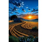 900 Piece Jigsaw Puzzles for Adults - Sunset Fields - Eco Matte Anti-Glare Print, Precision Fit Interlocking Pieces with Letter Zone Backing 34.3x13.39 inch