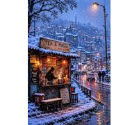 900 Piece Jigsaw Puzzles for Adults - Winter Streets - Eco Matte Anti-Glare Print, Precision Fit Interlocking Pieces with Letter Zone Backing 34.3x13.39 inch