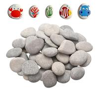 900g Pebbles for Painting Rocks, 3-5 cm Stones for Paintings, Flat Painting Pebbles, Natural Smooth Decorative Stones River Rocks for DIY Arts and Crafts Paint Project Activity Decoration