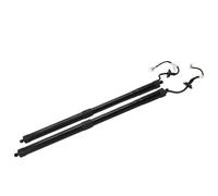 905614CL3A 905614BA4A Car Electric Tailgate Lift Support Struts For Nissan For Rogue 2014-2020