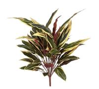 90cm Fire Retardant Caladium Bush with white edge x15w/49Lvs