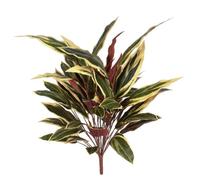 90cm Fire Retardant Caladium Bush with white edge x15w/49Lvs