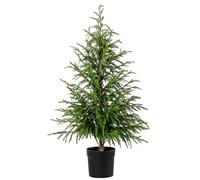 90cm Natural Look Artificial Norfolk Pine Tree In Decorative Planter, Faux Potted Christmas Trees for Front Porch Outdoor Garden Grave Indoor Bedroom Home Outside Decor (Green)