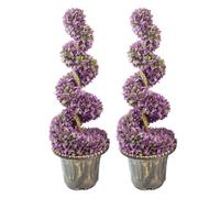 90cm Pair of Purple Large Leaf Spiral Topiary Trees with Decorative Planters