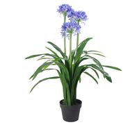 Leaf 90Cm Premium Artificial Agapanthus With Pot Blue