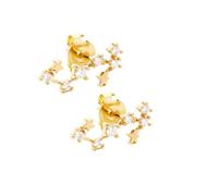 925 Sterling Silver Aquarius Stud Earrings for Women 12 Constellation Zodiac Earrings with Cubic Zirconia Jewelry Gifts for Women Girls Daughter