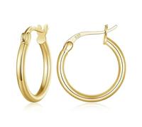 925 Sterling Silver Bold Classic Hypoallergenic Hoop Earrings, White Gold Standard Tube Earrings For Women