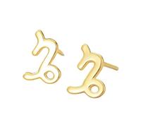 925 Sterling Silver Gold Plated Star Sign Stud Earrings - Capricorn (22Nd December - 19Th January)- Zodiac Constellation Horoscope Celestial Astrology Jewellery - Women Men Gift