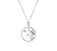 925 Sterling Silver Necklace 12 Constellation Circle Charm Pendant Necklace with Zircon Horoscope Celestial Astrology Jewellery for Women Girls Aquarius