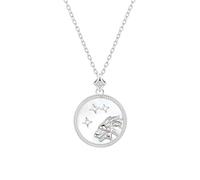 925 Sterling Silver Necklace 12 Constellation Circle Charm Pendant Necklace with Zircon Horoscope Celestial Astrology Jewellery for Women Girls Leo