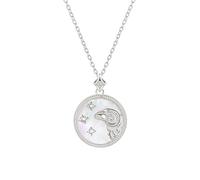 925 Sterling Silver Necklace 12 Constellation Circle Charm Pendant Necklace with Zircon Horoscope Celestial Astrology Jewellery for Women Girls Aries
