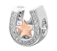 925 Sterling Silver Rose Gold Horseshoe Charm Lucky Charms Clear Stone Star Charm for Pandora Charm Bracelet