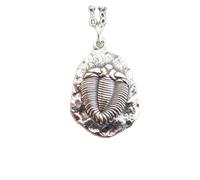 925 sterling silver trilobite fossil necklace. small ancient marine life pendant. extinct arthropods charm. paleozoic nature biologist gift | with 18 inch chain |silver plated |LKGP_03096