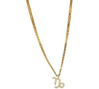 925 Sterling Silver Twelve Constellations Zircon Necklace Women Golden Dainty Clavicle Chain Shiny Cz Guardian Choker Party Jewelry